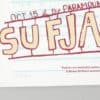 Sufjan Stevens Paramount Theatre Oct 15 Gig Poster 147/150 Signe Sufjan Stevens Paramount Theatre Oct 15 Gig Poster 147/150 Signed